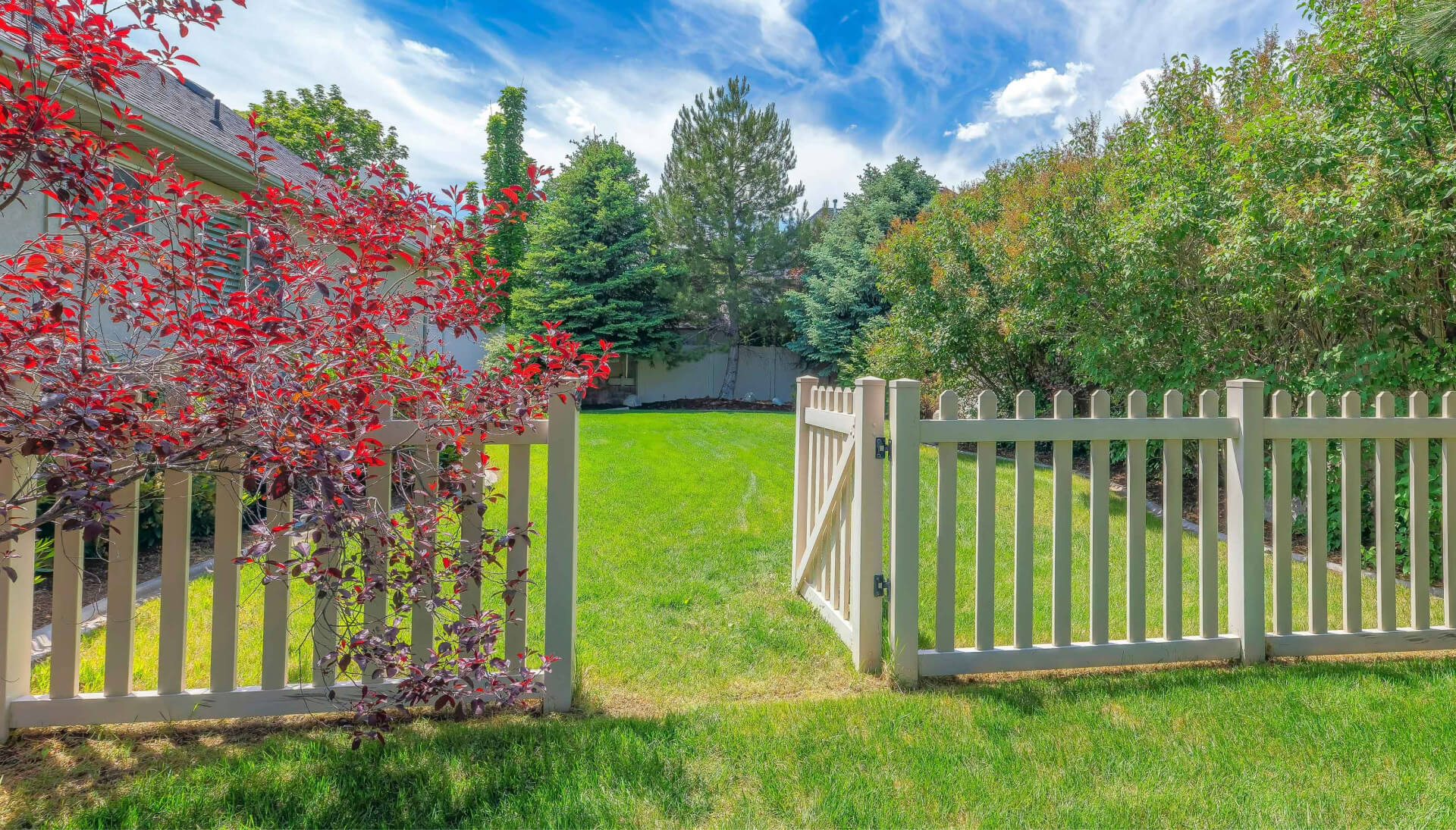 A functional fence gate providing access to a well-maintained backyard, surrounded by a wooden fence in Dayton